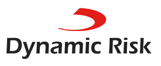Dynamic Risk Logo